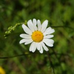 DSC000272000