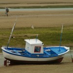 SONY DSC