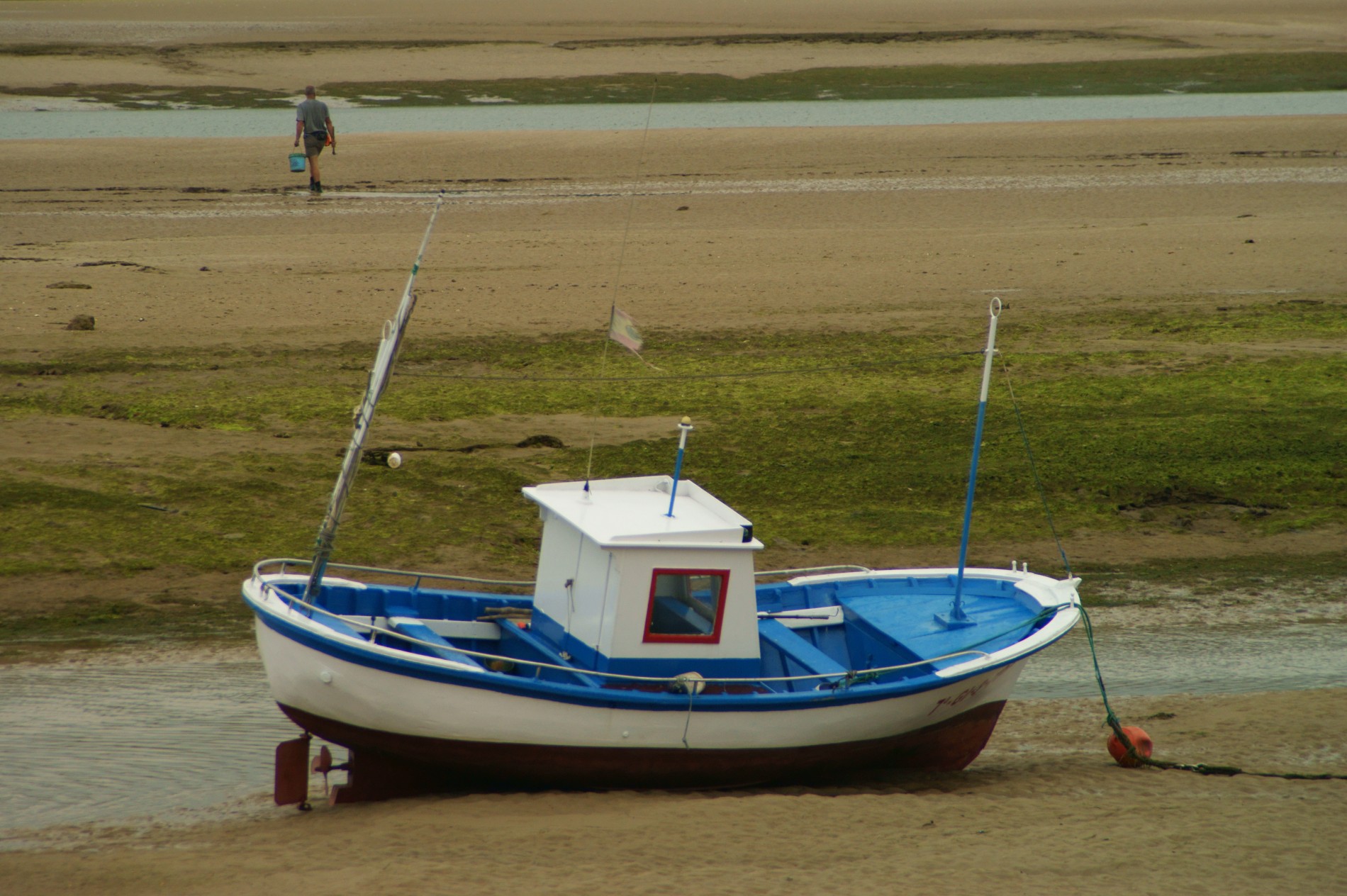 SONY DSC