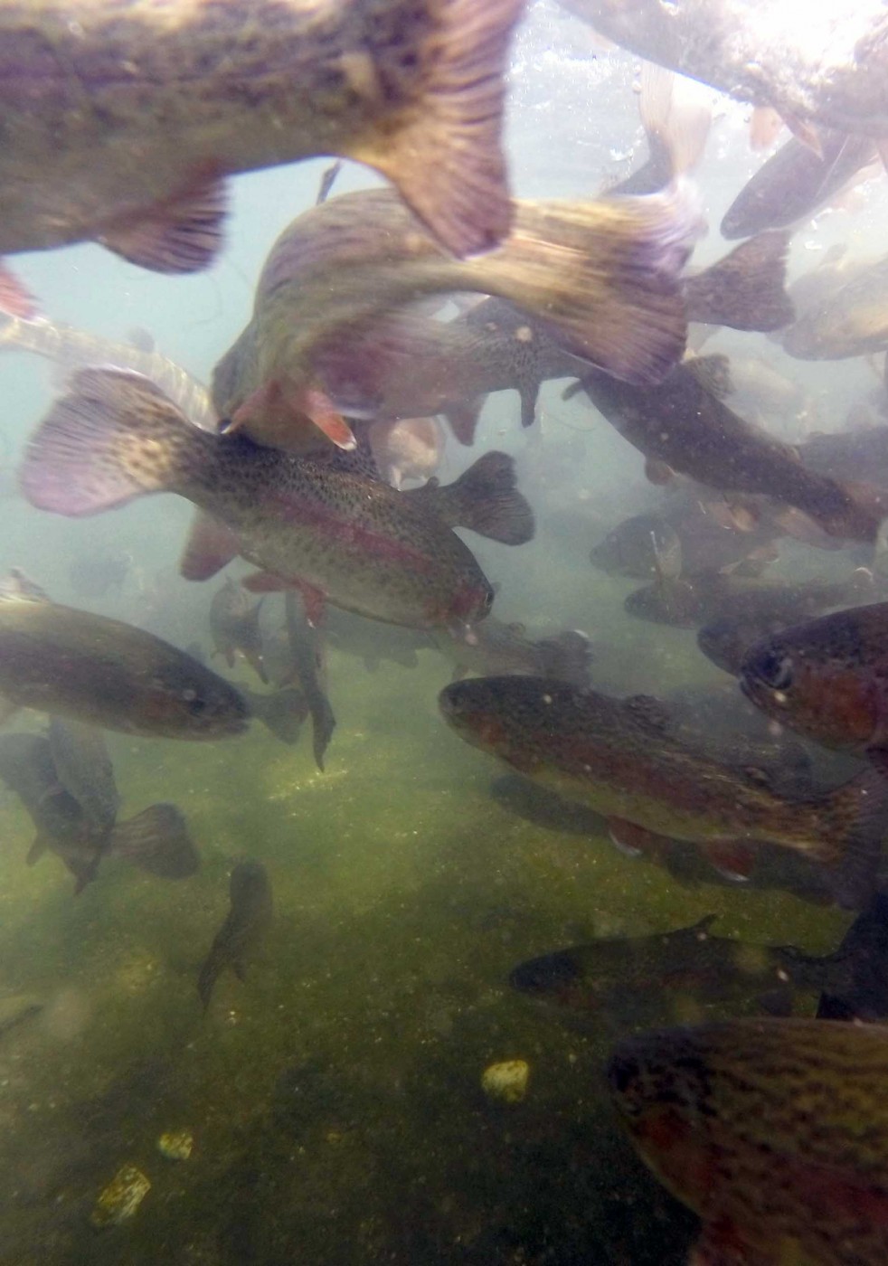DCIM109GOPRO
