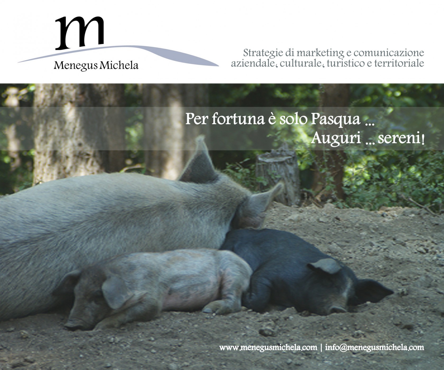 buonapasqua_2017